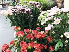 -北马山庄植趣咖啡