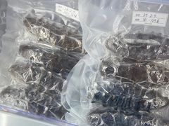 -棒棰岛辽参(长宁旗舰店)
