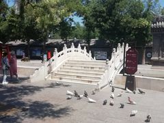 -荣国府
