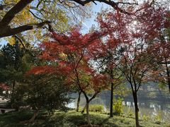 -狼山风景名胜区
