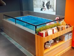 -宠宠熊宠物美容(星湖街店)