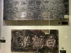 -白鹤梁水下博物馆