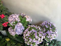 -越美小馆·越南料理(曲江店)