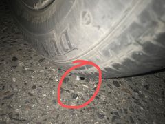 -上海中医药大学附属曙光医院(东部)