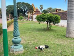 -塔銮寺