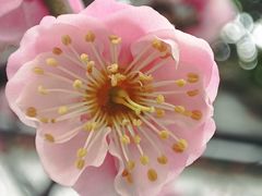 -厕所串串(文殊院店)