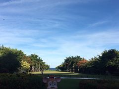 -海棠湾洲际-涛·海底餐厅·美人鱼·自助餐·海底隧道