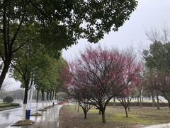 -东南大学(九龙湖校区)