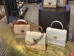 -乐天免税店(明洞店)