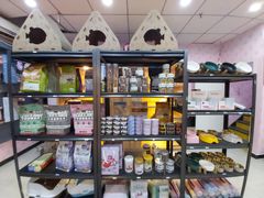 -喵百万·布偶·蓝金金渐层英短·猫舍(百子湾店)