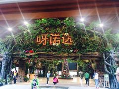 -呀诺达热带雨林