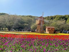 -苏州上方山国家森林公园