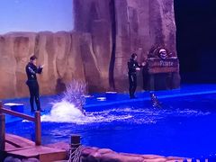 -华夏文旅海洋公园