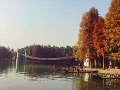 -东湖落雁景区