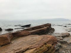 -东平洲海岸公园