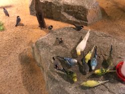 -酷嗒动物文化乐园(cutezoo西溪乐天城店)