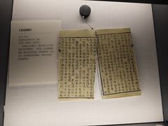 -四川大学博物馆