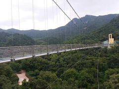 -木兰云雾山
