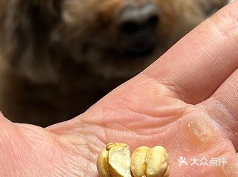 今天逛超市恰巧碰到 就入了 怎么说呢