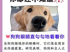 -唐小姐の猫狗洗护·购宠旗舰店(周浦万达店)