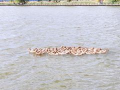 -野鸭湖国家湿地公园