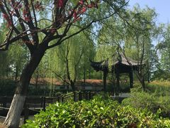 -瀛洲公园