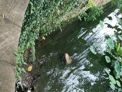 -雨湖公园