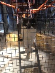 -酷嗒动物文化乐园(cutezoo西溪乐天城店)