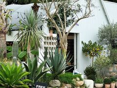-自由生长植物工作室(深港花卉中心店)
