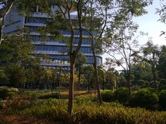 -星巴克(深圳香港大学深圳医院店)