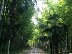 -黄公望隐居地