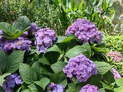 -人民公园(罗湖区)