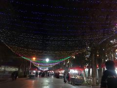 -布尔津河堤夜市