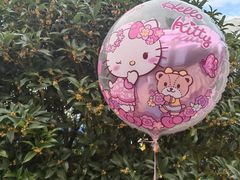 -杭州Hello Kitty乐园