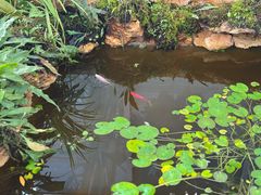 -国家植物园南园