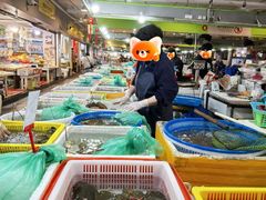 -东河市场