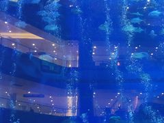 -成都浩海立方海洋公园