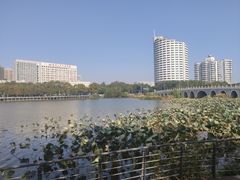 -武汉大学中南医院(总院区)