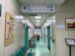 -北京观赏动物医院·24小时大型综合·猫专科·异宠专科