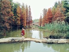 -云溪植物园