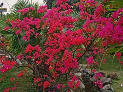 -水濂山森林公园