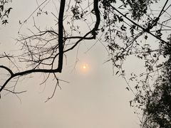 -野象谷景区