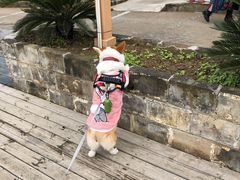 -崇阳三特浪口温泉