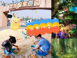 -恐龙探索乐园(磁器口店)