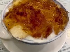 桃胶双皮奶-仁信老铺(华盖路店)