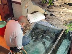 -山水茶艺馆·点心粤菜·30年老字号