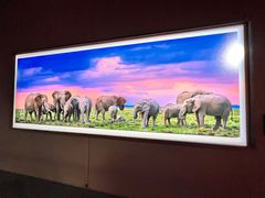 -罗红摄影艺术馆