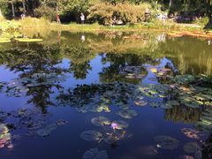 -国家植物园南园