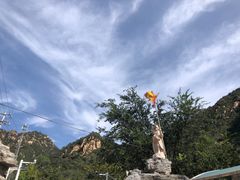 -大岭沟猕猴桃谷风景区
