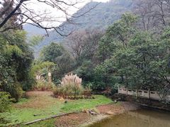 -黔灵山公园